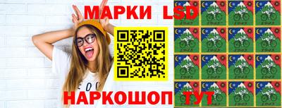 Альфа ПВП Малгобек