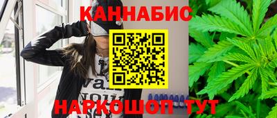 Альфа ПВП Малгобек