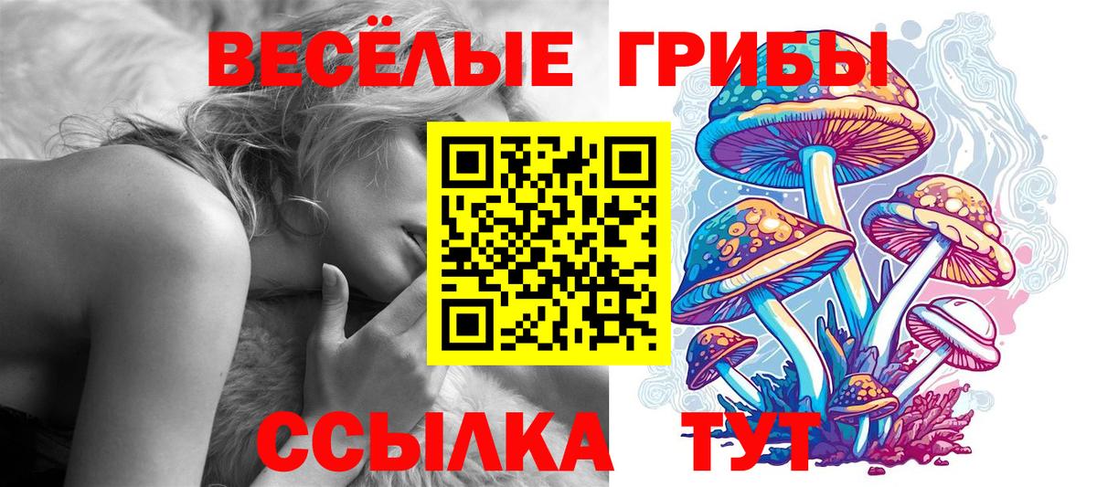 Псилоцибиновые грибы Psilocybine cubensis Шадринск