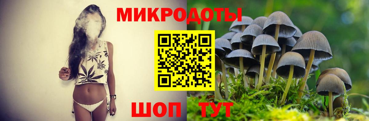 Шадринск  где купить   Вход с VPN  Псилоцибиновые грибы Psilocybe 